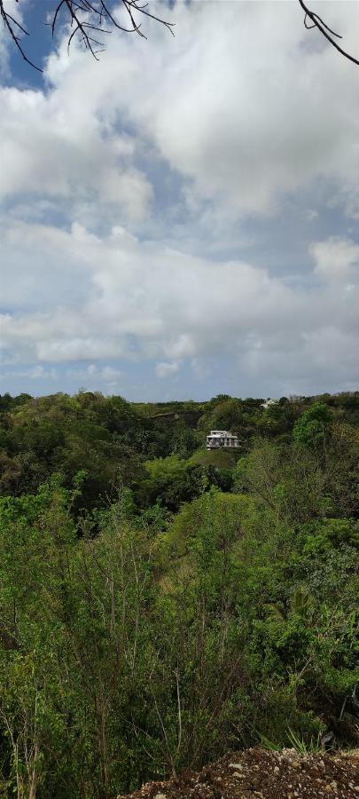 Chez Tatie-Clo Devient Gray Coconut Cake Villa Le Moule Bagian luar foto